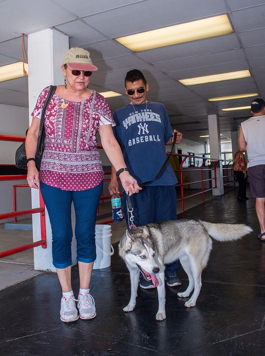 Christina Angus and Thomas Sockpick with their Alaskan husky, Aurora.