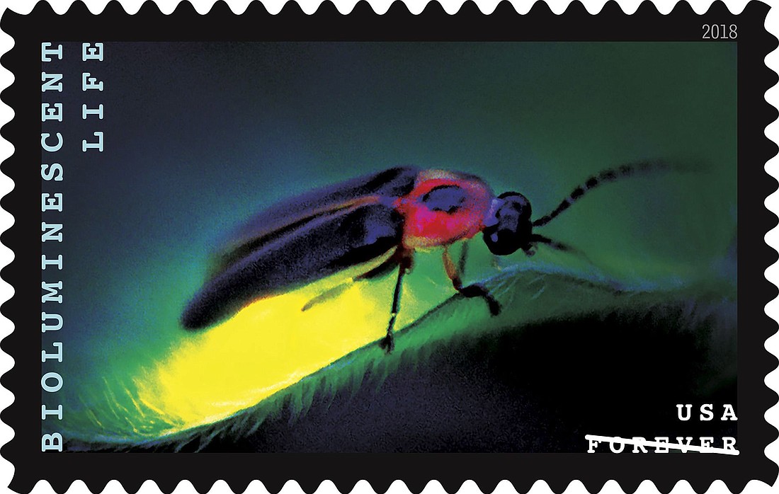 Gail Melville Shumway&#39;s picture of a firefly is one of the images featured in the USPS&#39;s Bioluminescent Life Forever stamps.