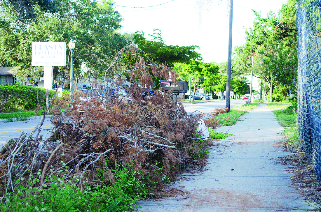 Brown vegetative debris on curbs was a common sight in the wake of Hurricane Irma, which left more than 300,000 cubic yards of debris throughout the county.