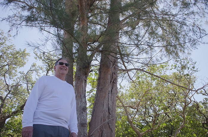 Cary Campagna said removing this tree could cost him up to $5,800.
