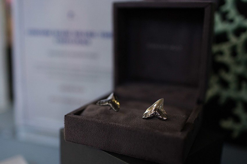 These shark tooth cufflinks were available for bids.