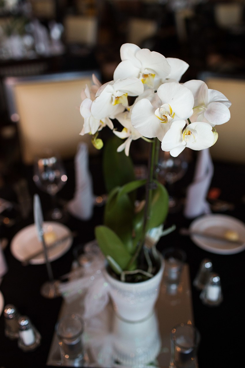 White orchids gave the tables a simple elegant touch.