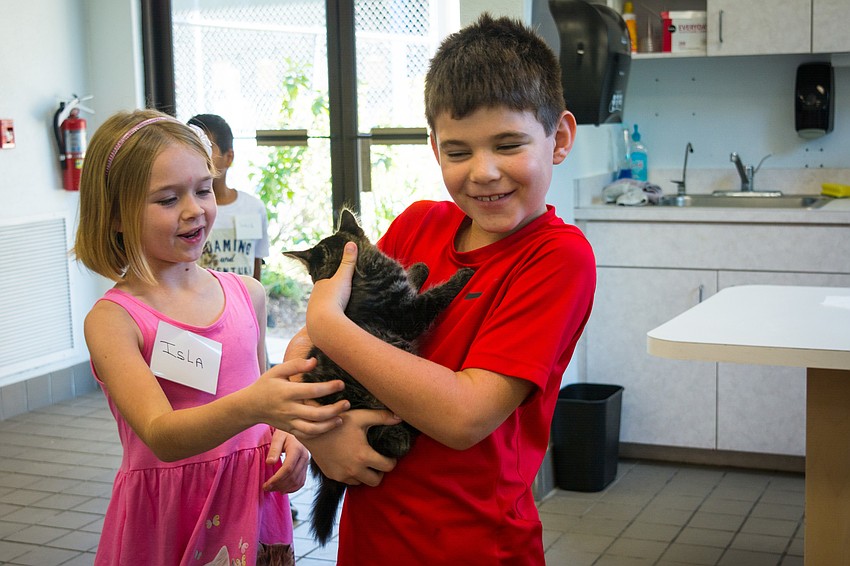 Isla Paterson and Andre Hersom play with one of the kittens up for adoption at the Humane Society of Sarasota County.