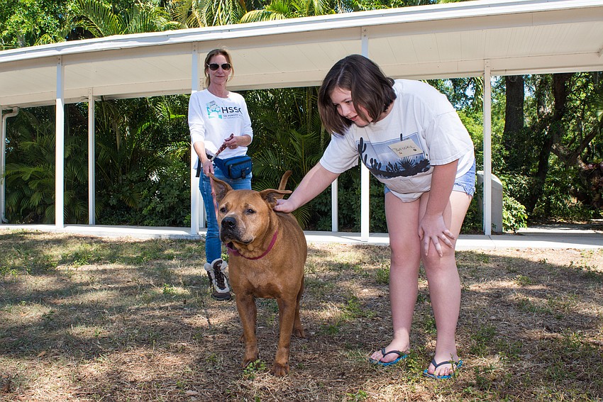 Brooke Kregenow meets Red, one of the dogs looking for a forever home.