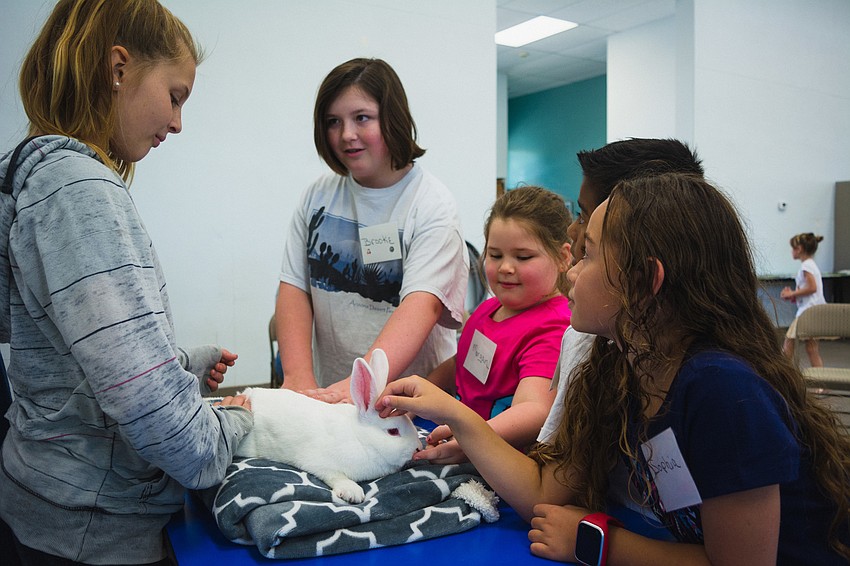 Campers interact with a rabbit.