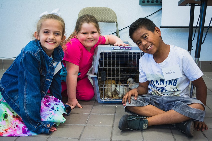 Caroline Jackson, Morgan Zuccarini and Luis Alvarez with chickens.