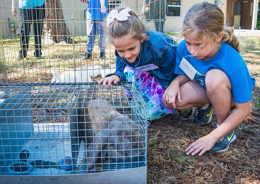 Caroline Jackson and Logan Schaub meet some rabbits.