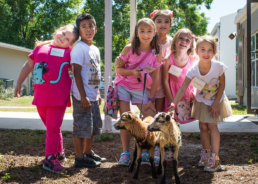 Campers hang out with lambs from McG Farm.