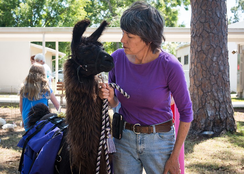 Sue McGonagall of McG Farms with Ebony the llama.