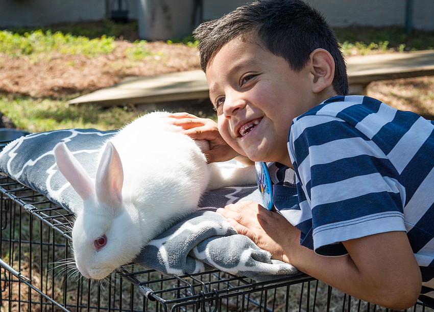 Dario Alvarez poses with one of the rabbits.