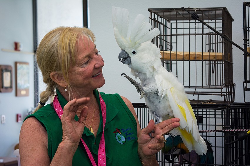 Jennifer Dermer from World Parrot Mission introduces Gabriella, an umbrella cockatoo.