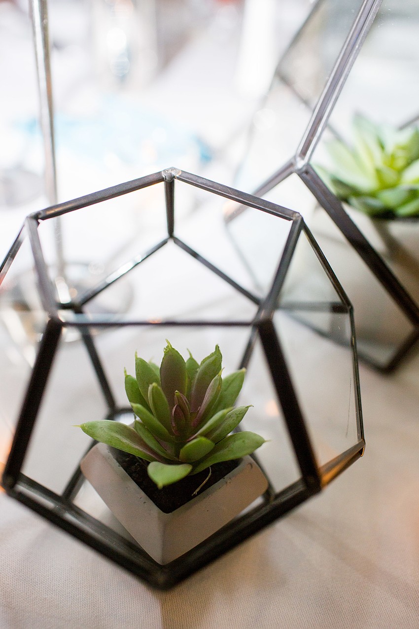 Succulents adorned the tables.