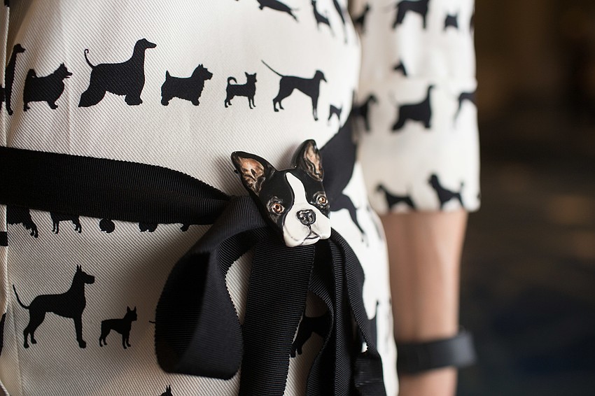 Charlie Ann Syprett decked out her outfit with Boston Terrier accessories.