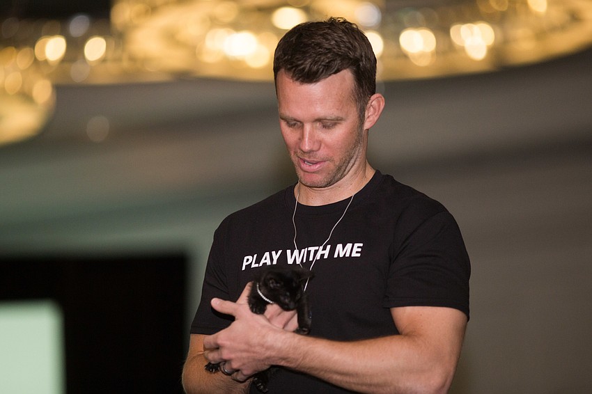 The adoptable cats and dogs walked the runway before lunch.