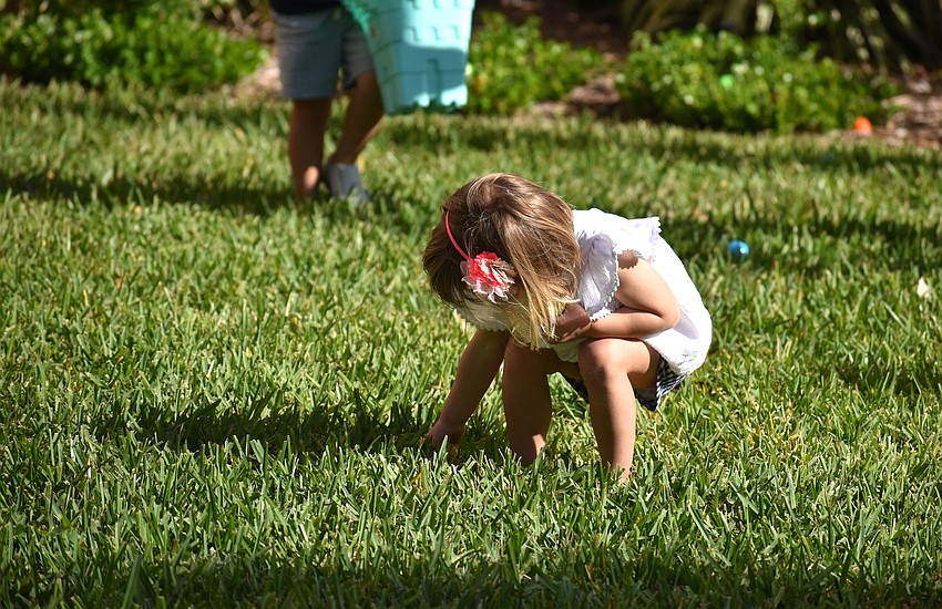 Caroline Whitson hunts for eggs on Sandy Cay’s property.