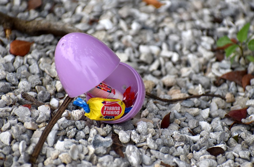 Candy-filled eggs were scattered around the Mar Vista property.
