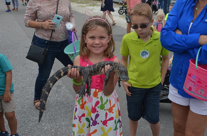 Lakewood Ranch's Brielle Hodges, 6, holds up a baby alligator.