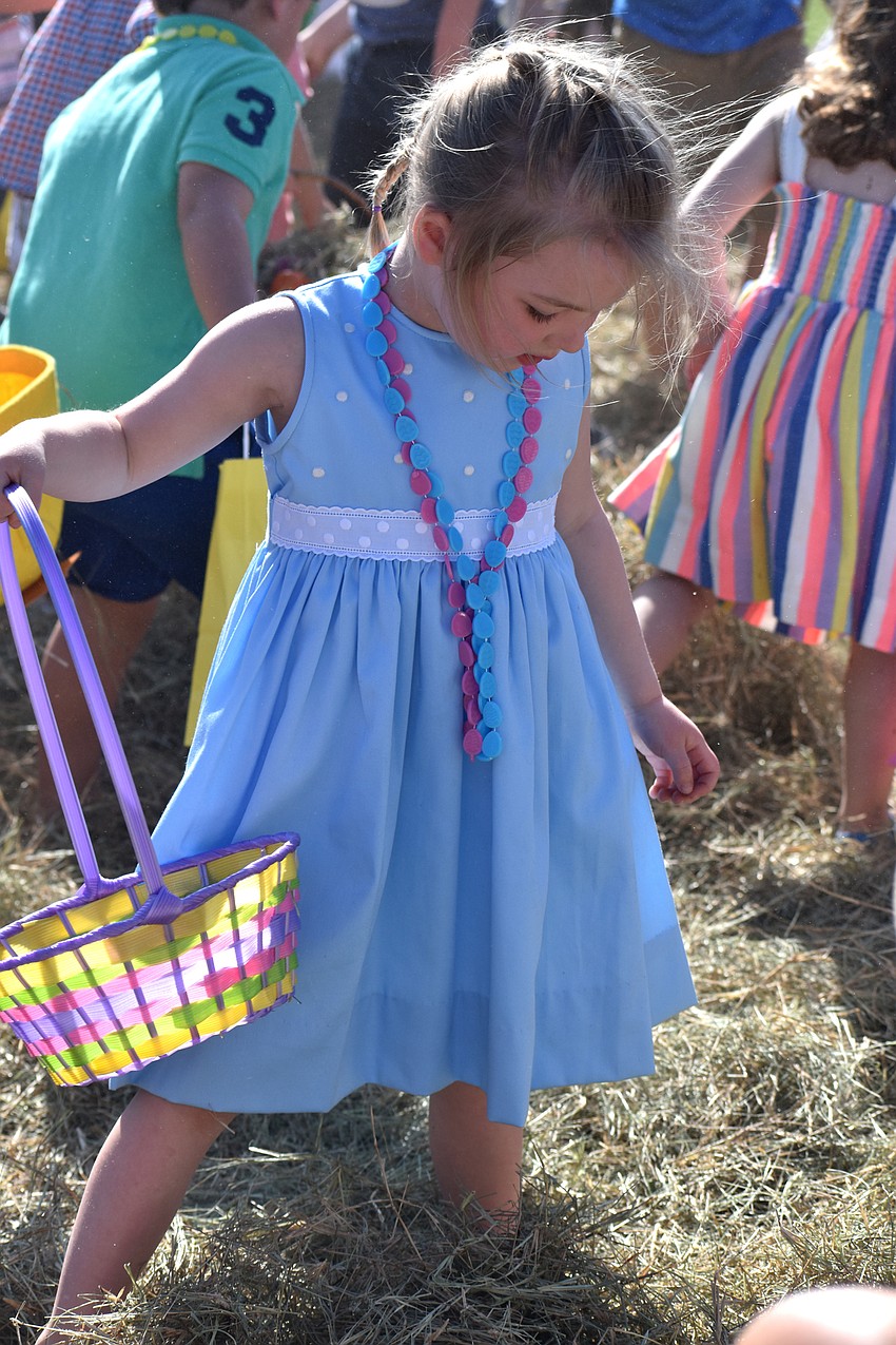 Alice Barksdale looks for eggs in the hay.
