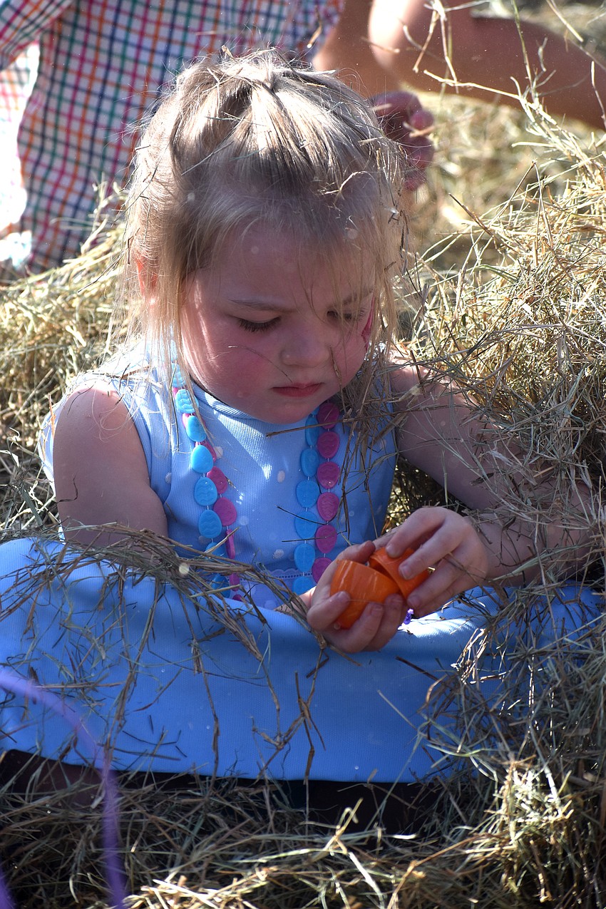 Alice Barksdale takes a break in the hay during the egg hunt.