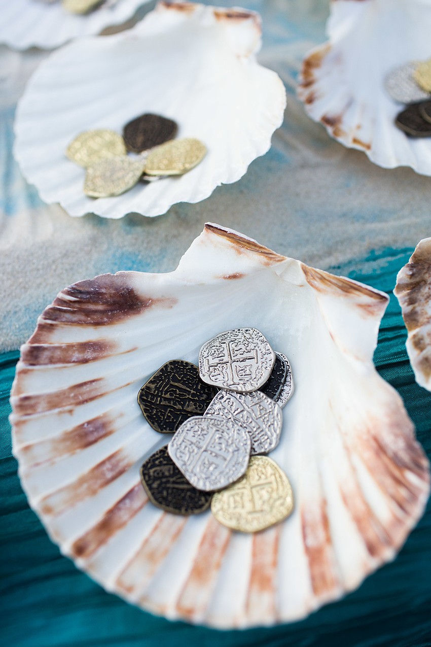 Each shell had an arrangement of coins.