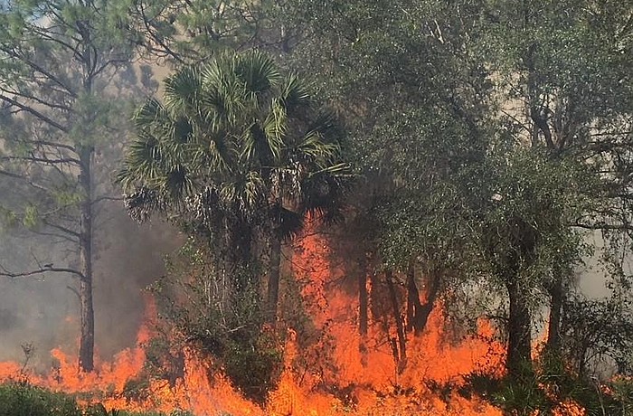 According to Sarasota Fire Chief Michael Regnier, the ban will remain in effect until weather conditions change.