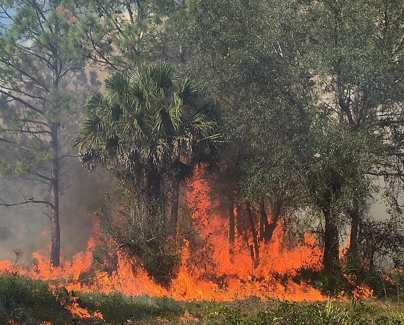 According to Sarasota Fire Chief Michael Regnier, the ban will remain in effect until weather conditions change.