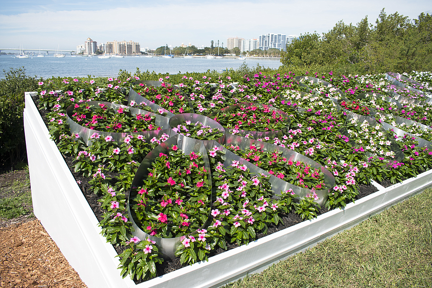 A display of a variety of Madagascar periwinkle are planted in the shape of daisy flowers overlook Sarasota Bay as part of the garden&#39;s exhibit on Andy Warhol.