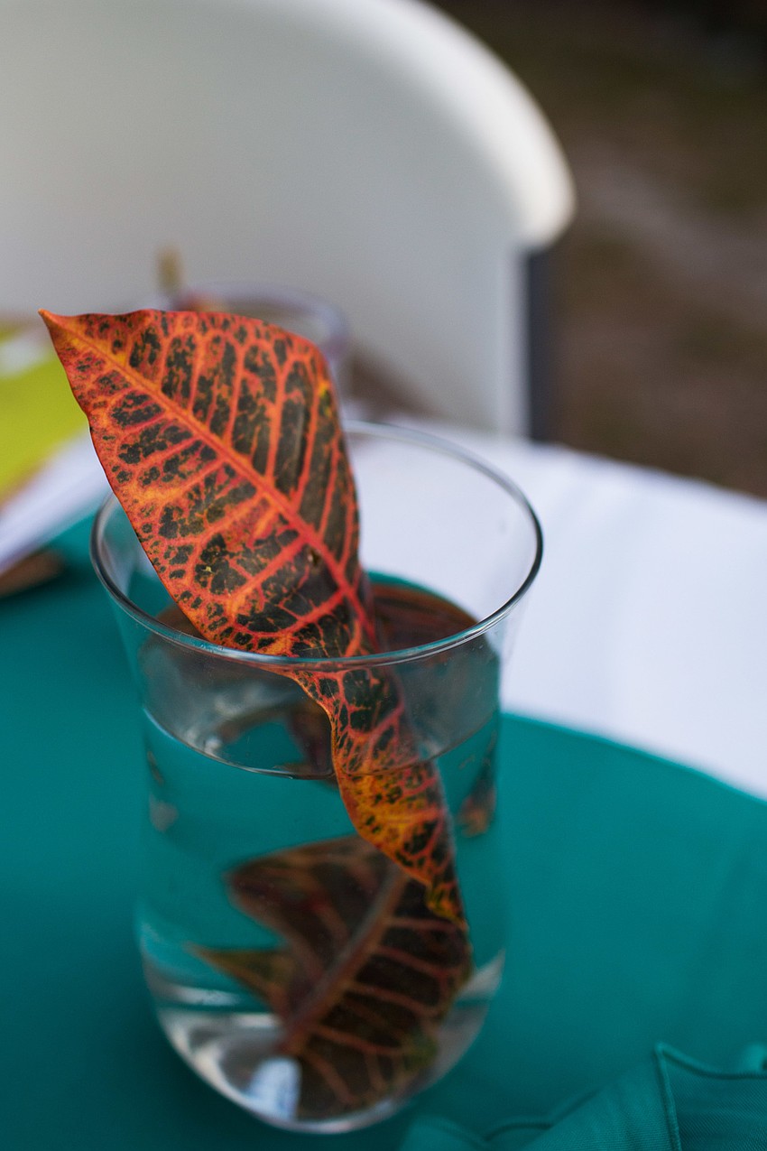 Each table had a winemaker sitting amongst the guests.