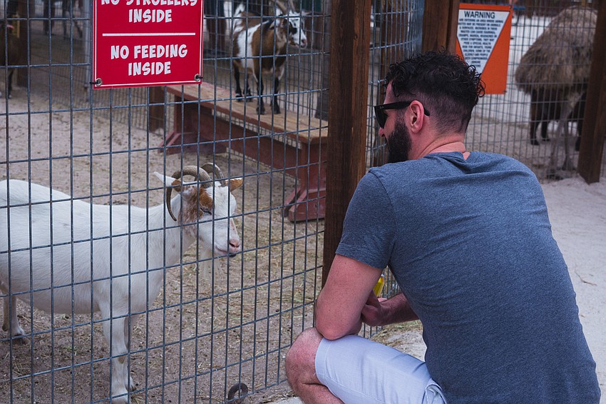 Jerry Pallante greets a goat.