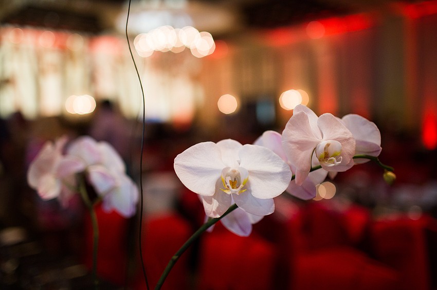 The decor was red with white.