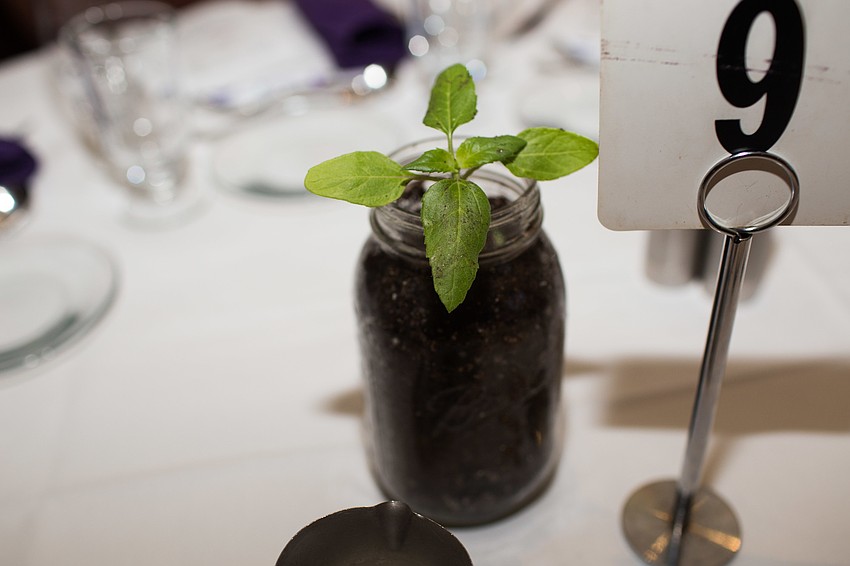 Each table was decorated with a plant.