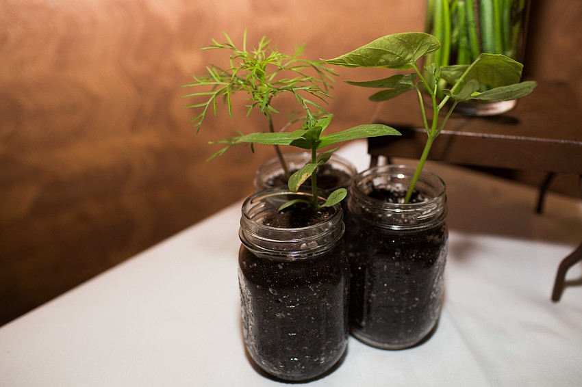 Children planted plants for decorations.