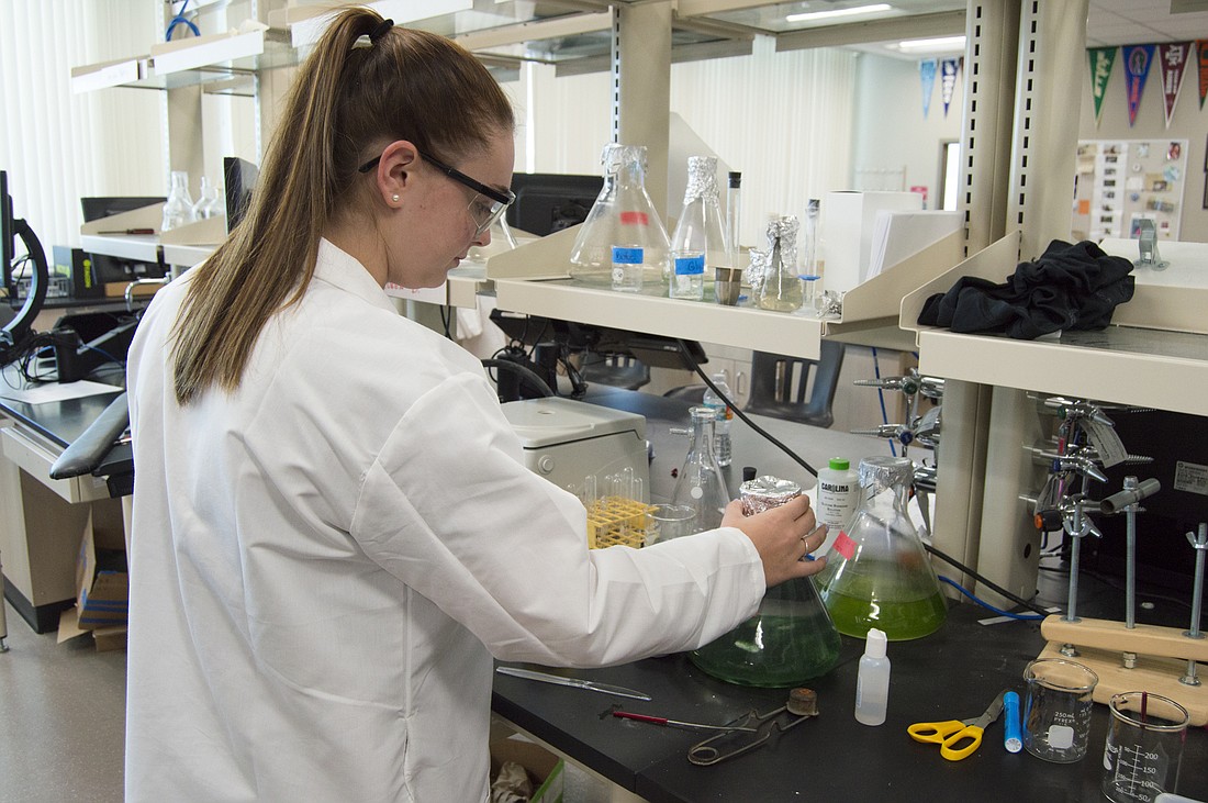 Senior Kathryn Richards studied stem cell regeneration this year in the MaST program.