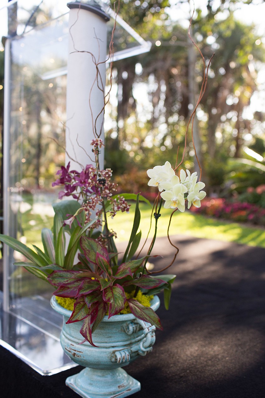 Orchids decorated the front stage.