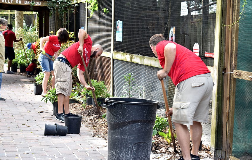 Wells Fargo volunteers work to plant 227 native plants around Save Our Seabirds.