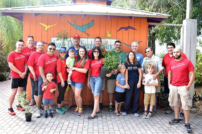 Wells Fargo volunteers planted 227 native plants around Save Our Seabirds.