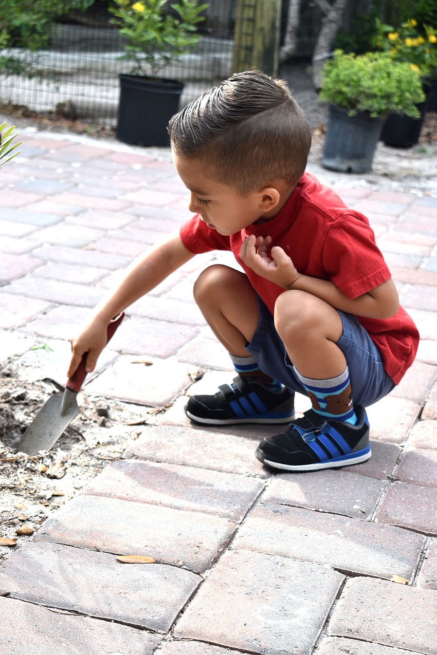 Josiah Bautista makes a hole for a new plant.
