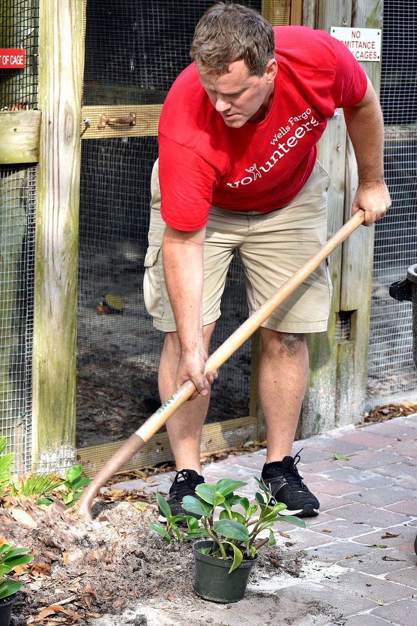 Frank Cummings gets ready to place a new plant next to a bird cage.