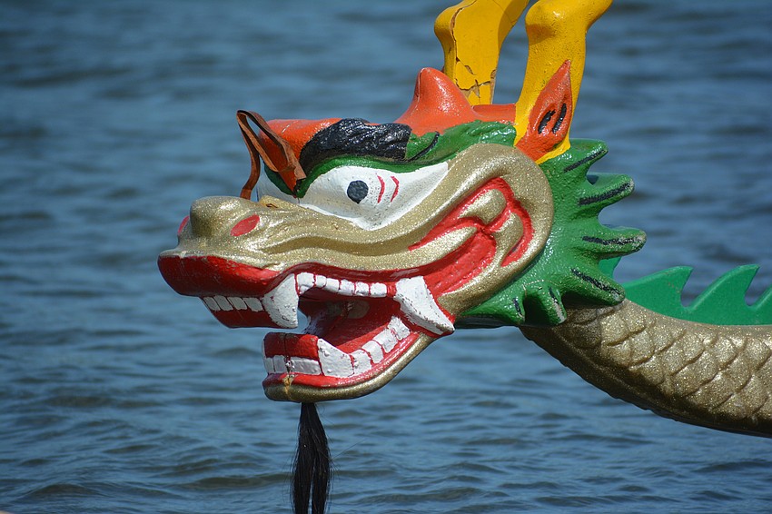 They are, indeed, Dragon boats.