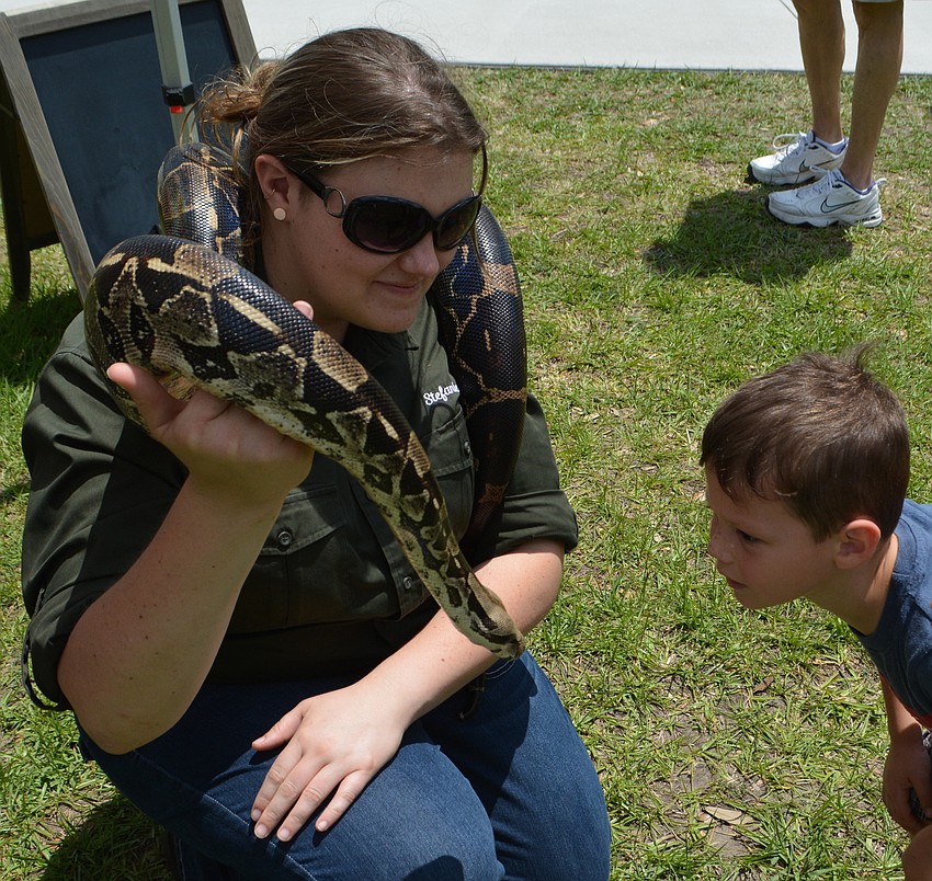 Gatorland of Orlando's Stefanie Edwards allows Sarasota's Lucas Deatherage get an up-close look at a Colombian Red Tail Boa.