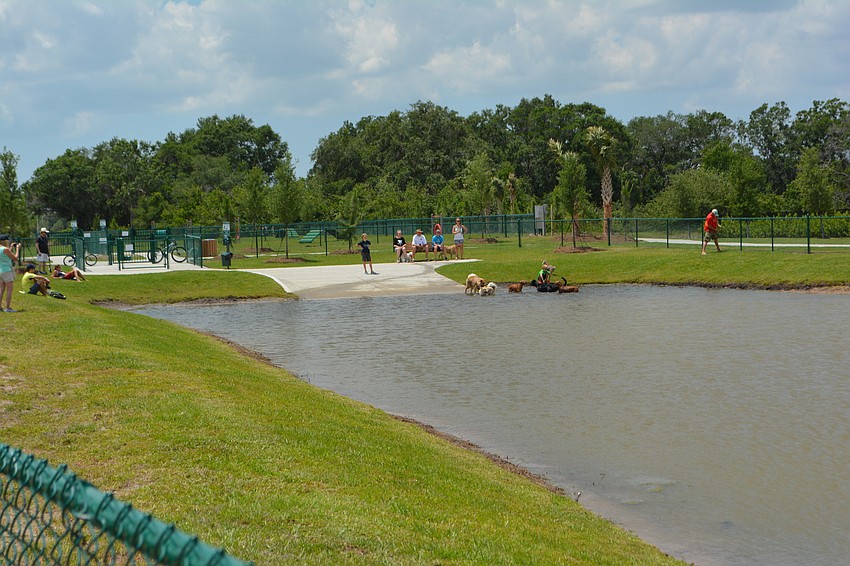 A steady stream of canines and their owners tried out the aquatic dog park.