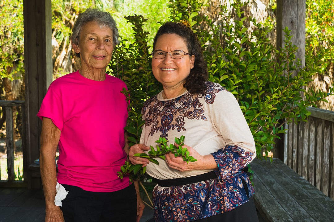 Longboat Key Garden Club observes Arbor Day Your Observer