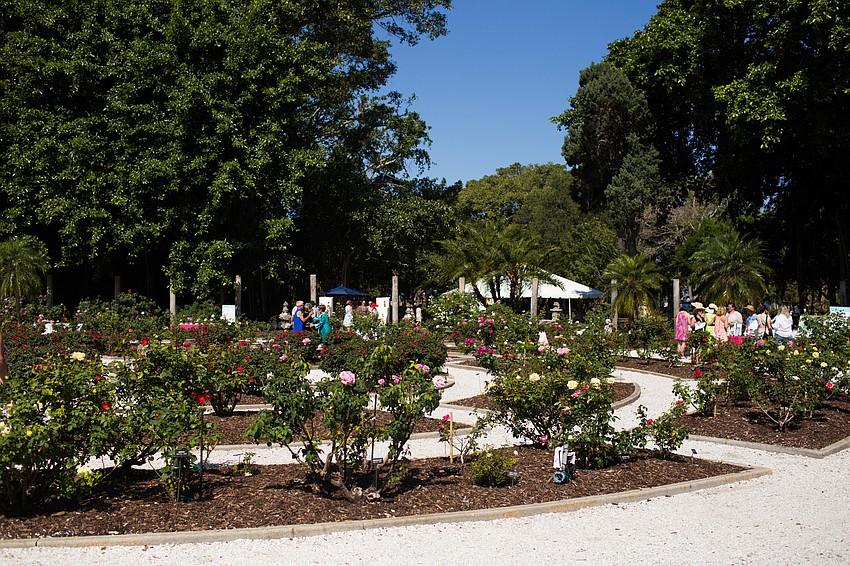 Blossoms & Brunch was hosted in The Ringling's rose garden.