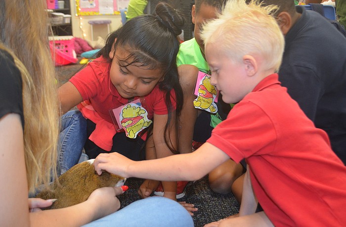 Topher endures petting from Allisson Cruz and Asher Abelson, kindergartners at Bashaw.