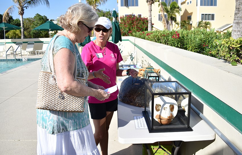 Volunteer Brenda Jameson teaches a guest about the difference between green and loggerhead turtle skulls.