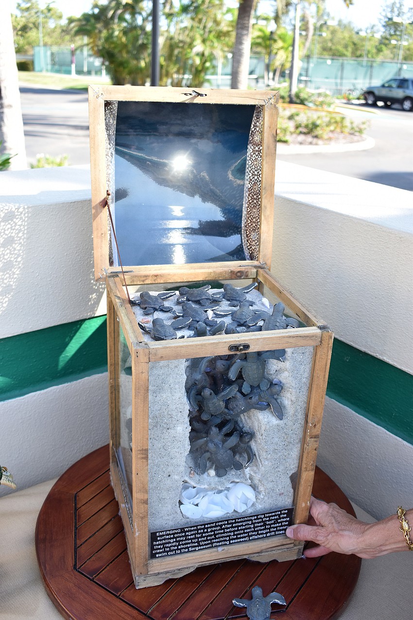 Volunteer Charlene Donnelly shows off her turtle nesting model, which has become such a popular education tool that she made a second one for Mote Marine Laboratory and Aquarium.