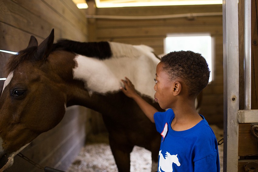 Jaiden pets Paint horse Buddy Cassidy.