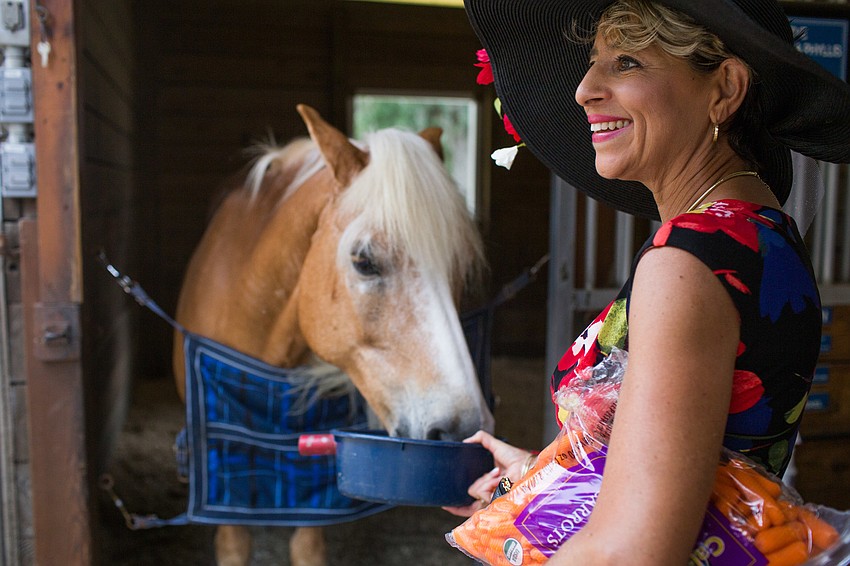 Donna Hoefer brought carrots to feed the horses.