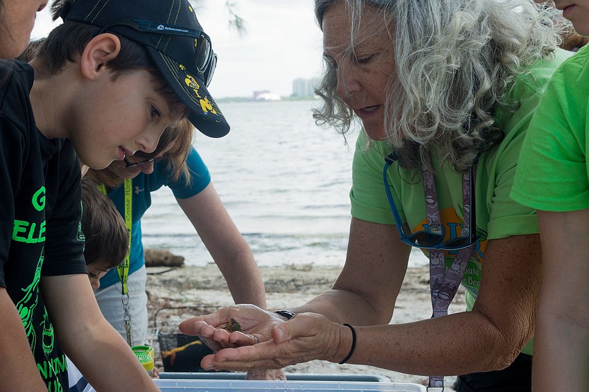 Ben Vaughan gets a glimpse of a spider crab, one of the many creatures that call Sarasota Bay home.