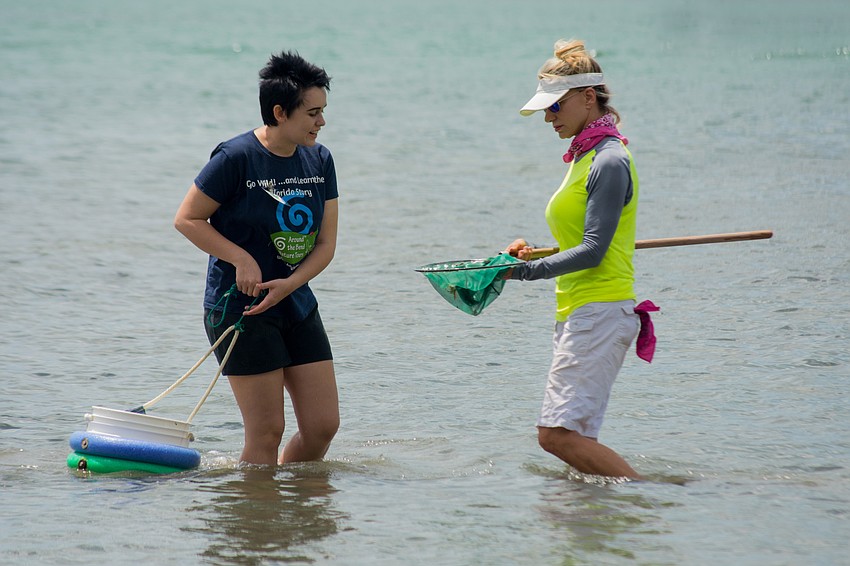 Volunteers Kaylynn Low and Lisa Johnson collect sea life from the bay.